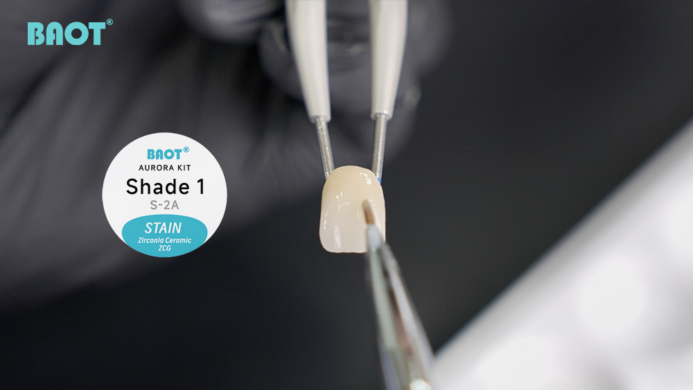 BAOT Aurora Standardize Staining Shade 1